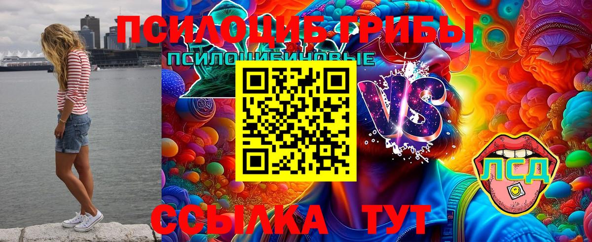 Похвистнево  Галлюциногенные грибы прущие грибы  купить   Вход с VPN 